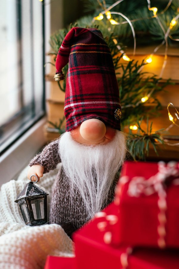 Everything you need to know about the niss in portugal